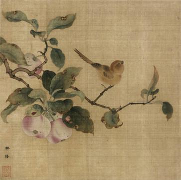 林椿果熟來禽圖