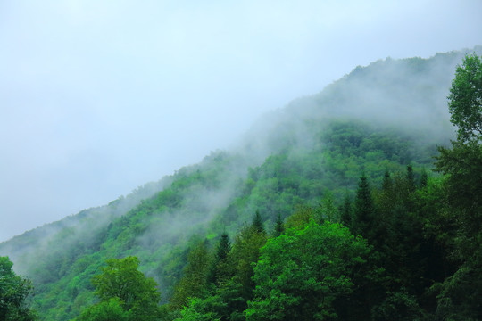 长白山十五道沟