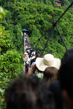 三亚亚龙湾热带森林公园吊桥