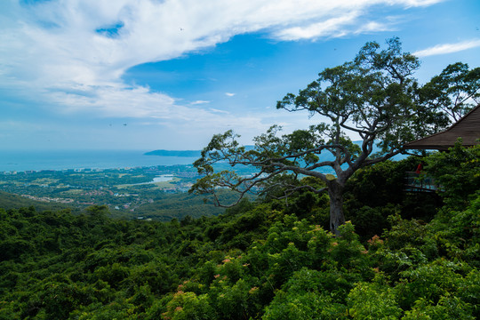 热带天堂森林公园山顶俯视