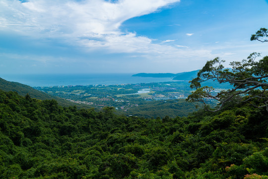 热带天堂森林公园山顶俯视