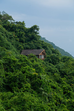 山坡上的一间木屋