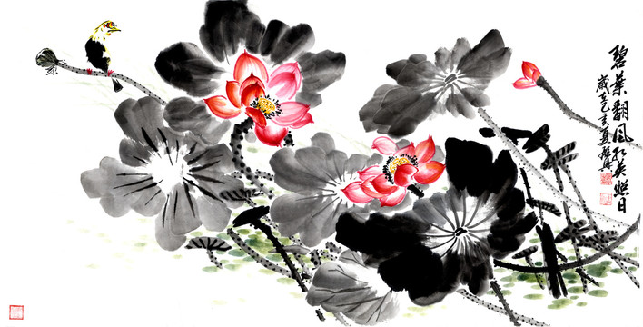 荷花