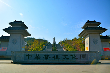 茶祖文化园