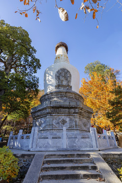 大觉寺白塔