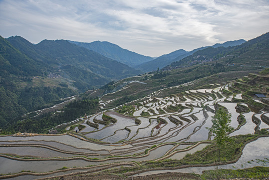 贵州加榜梯田