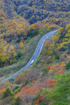 山路弯弯