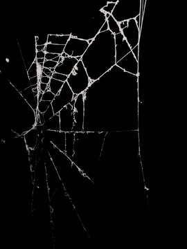 残破的蜘蛛网