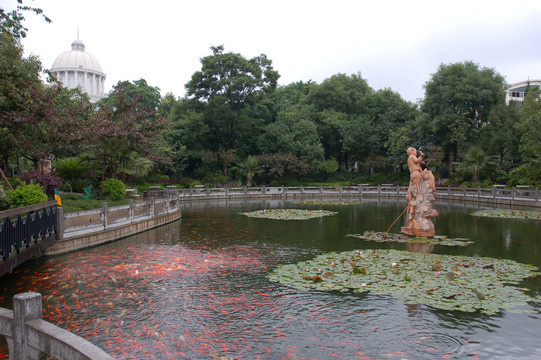 锦鲤水池