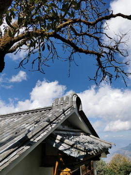 蓝天白云中式古建筑老树枯枝特写