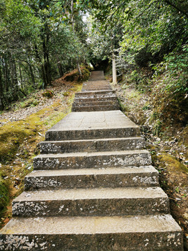 爬山登山森林公园