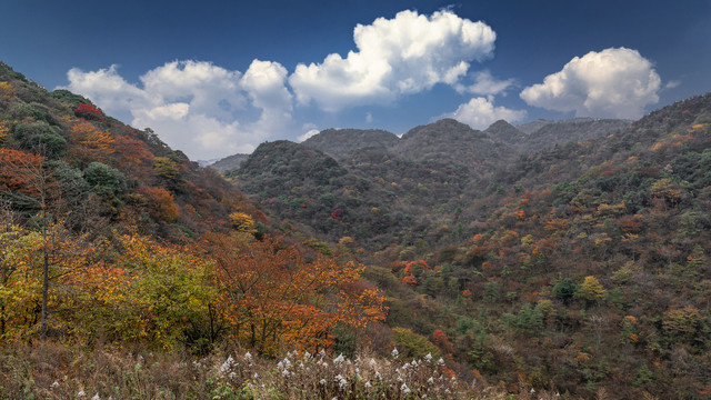 山林秋景