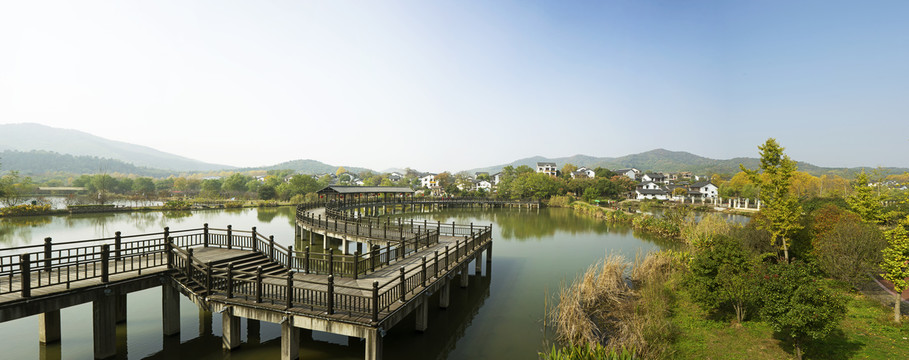 南京江宁石塘竹海