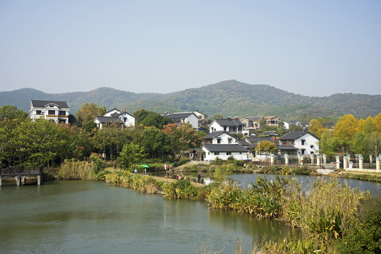 南京江宁石塘竹海