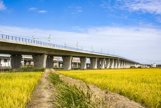 高速公路高架桥