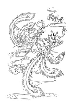 鳳凰線稿