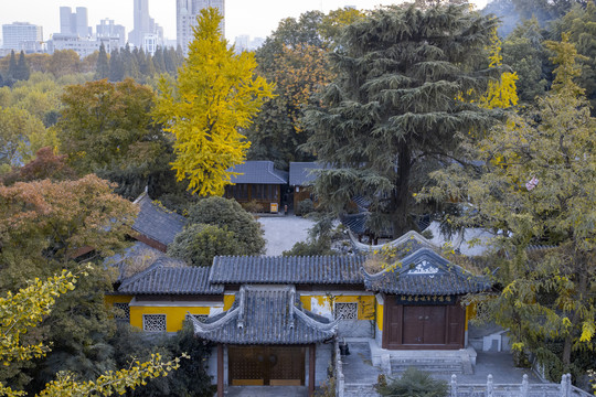 金秋鸡鸣寺