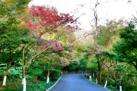 南京栖霞山