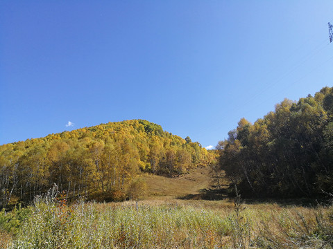 风景