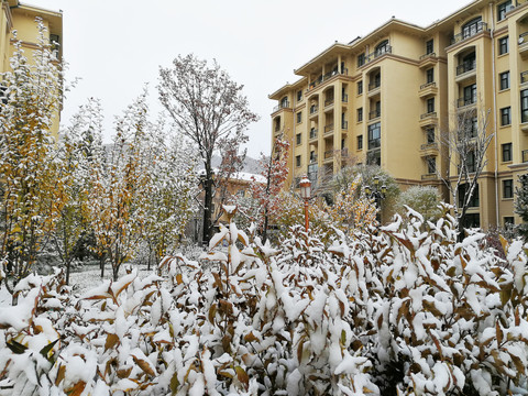 雪景