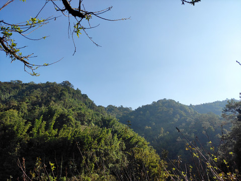 高山