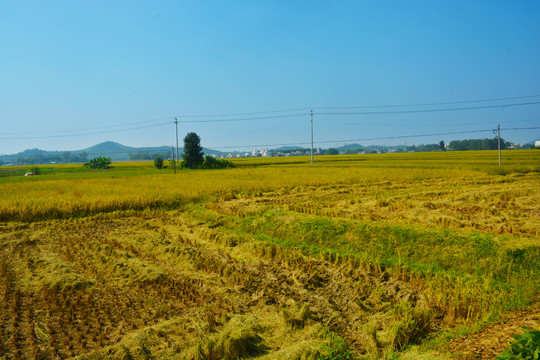 田园风光