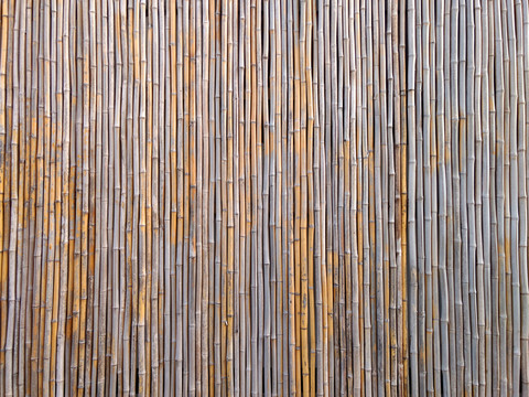 竹子墙面背景