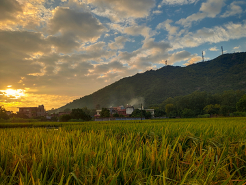 乡村早晨的炊烟