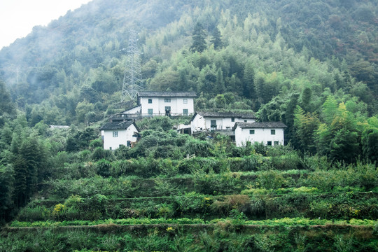 山里人家