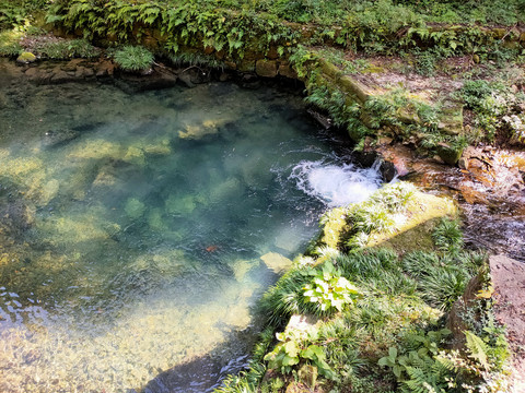 小溪流水