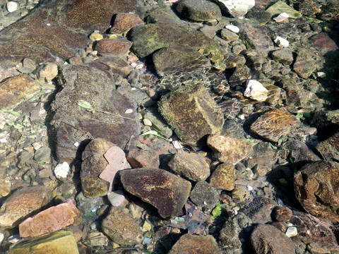 石头与溪水
