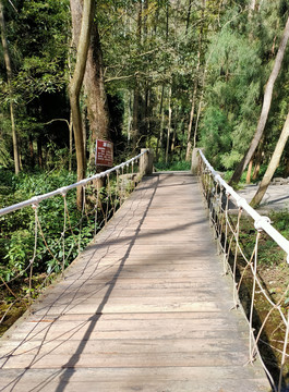 张家界森林公园浪桥