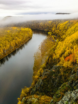 秋季河流白桦林