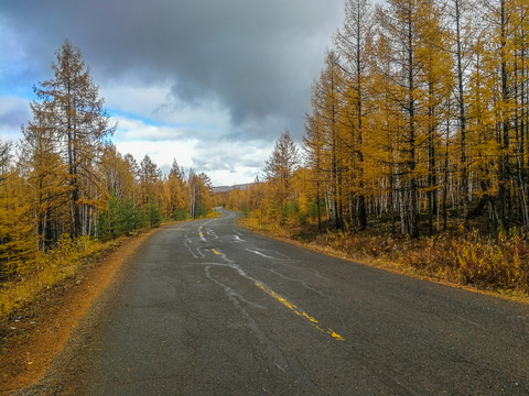 秋季森林公路