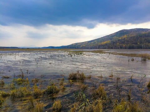 大兴安岭森林湿地