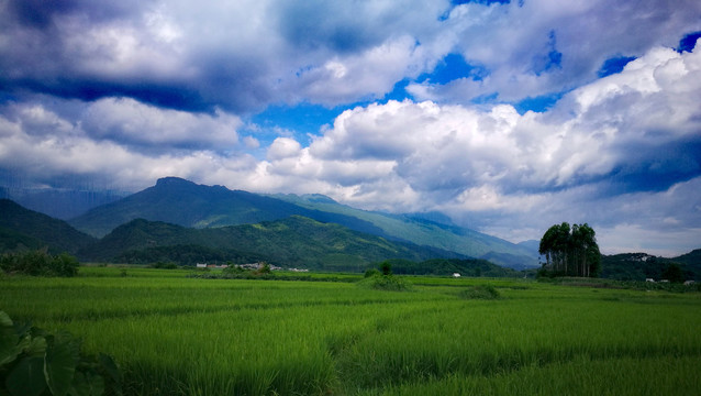 蓝天白云高山稻田