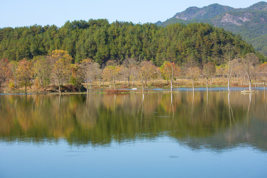 九资河水上红叶