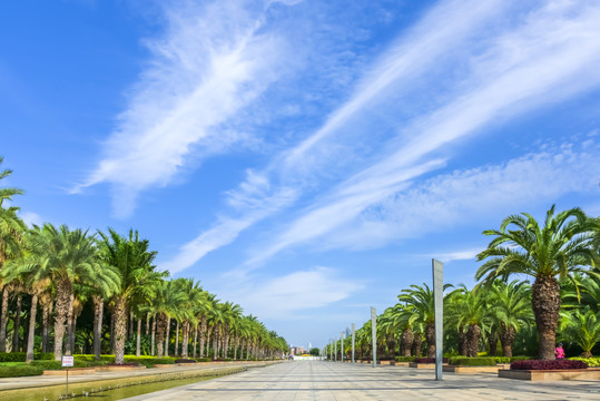 厦门海湾公园迎宾大道