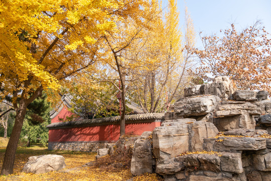 中国北京颐和园蚕神庙秋景