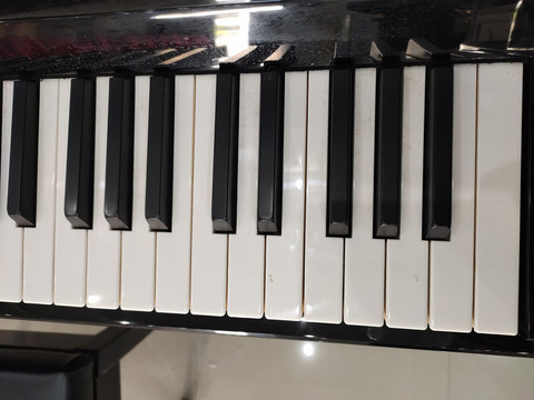 钢琴黑白按键