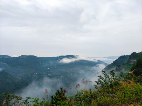 山间云雾