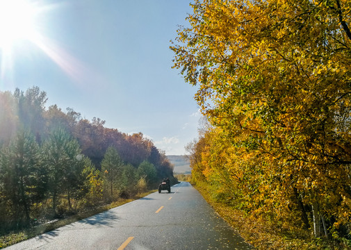 森林公路