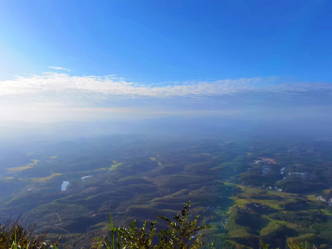 湿地公园全景