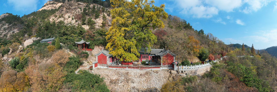 青岛竹子庵全景