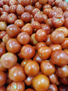 红番茄西红柿