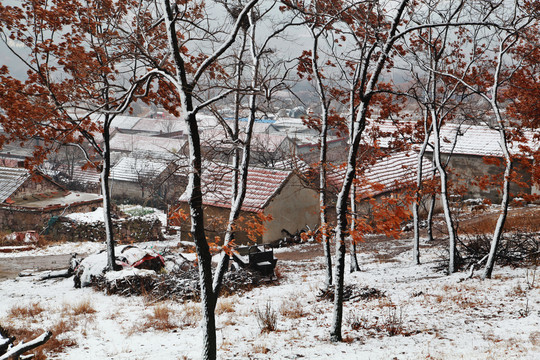 雪后山村