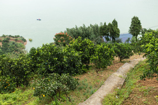 三峡库区