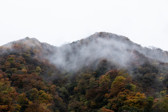 大九湖景区