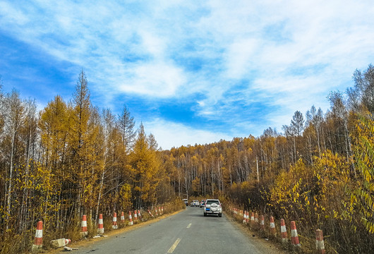 秋季森林公路越野车