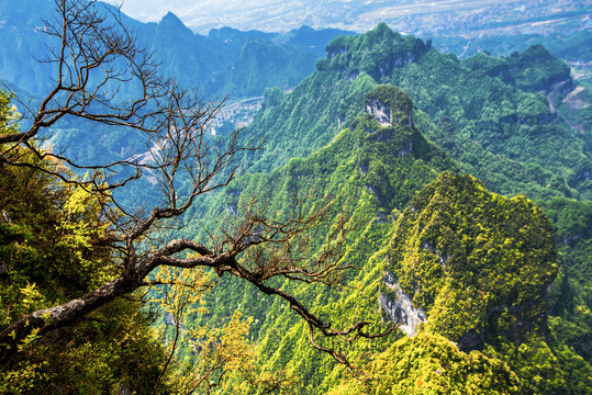 群山